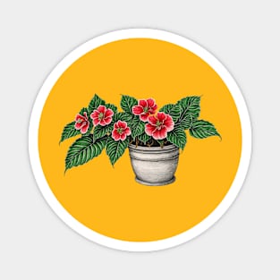 Begonia Magnet